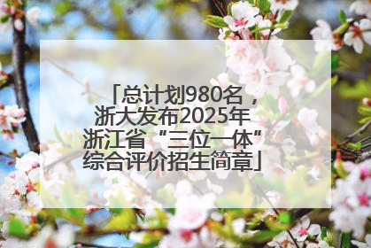总计划980名，浙大发布2025年浙江省“三位一体”综合评价招生简章