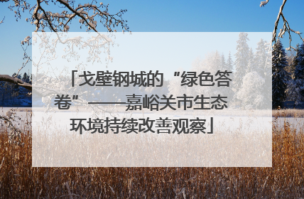 戈壁钢城的“绿色答卷”——嘉峪关市生态环境持续改善观察