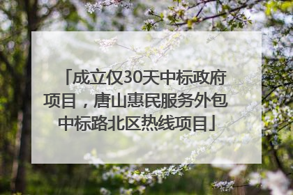 成立仅30天中标政府项目，唐山惠民服务外包中标路北区热线项目