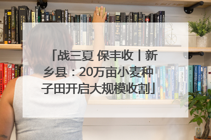 战三夏 保丰收丨新乡县：20万亩小麦种子田开启大规模收割