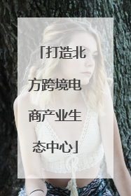 打造北方跨境电商产业生态中心