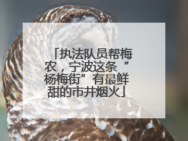 执法队员帮梅农，宁波这条“杨梅街”有最鲜甜的市井烟火