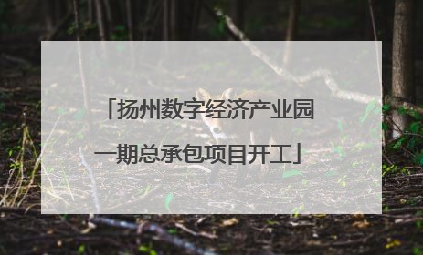 扬州数字经济产业园一期总承包项目开工