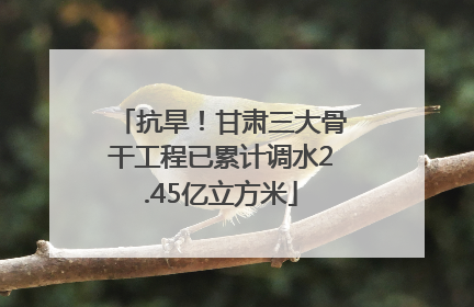 抗旱！甘肃三大骨干工程已累计调水2.45亿立方米