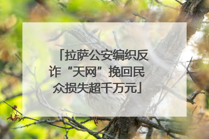 拉萨公安编织反诈“天网”挽回民众损失超千万元
