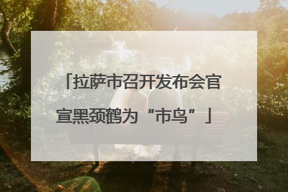 拉萨市召开发布会官宣黑颈鹤为“市鸟”