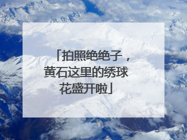 拍照绝绝子，黄石这里的绣球花盛开啦