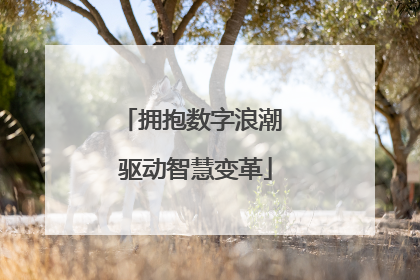 拥抱数字浪潮 驱动智慧变革
