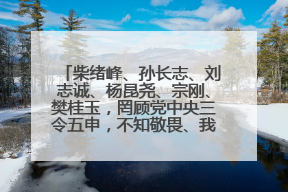 柴绪峰、孙长志、刘志诚、杨昆尧、宗刚、樊桂玉，罔顾党中央三令五申，不知敬畏、我行我素、肆意妄为！