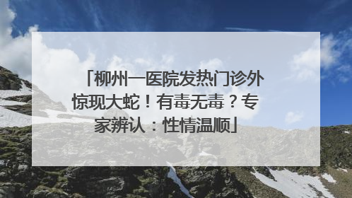 柳州一医院发热门诊外惊现大蛇！有毒无毒？专家辨认：性情温顺