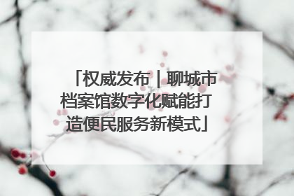 权威发布｜聊城市档案馆数字化赋能打造便民服务新模式