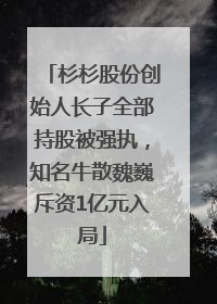 杉杉股份创始人长子全部持股被强执，知名牛散魏巍斥资1亿元入局