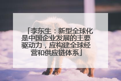 李东生：新型全球化是中国企业发展的主要驱动力，应构建全球经营和供应链体系