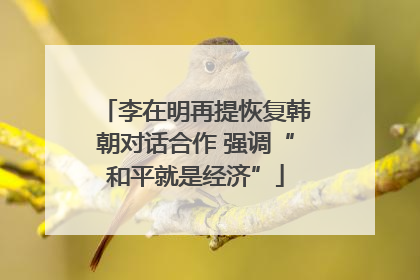李在明再提恢复韩朝对话合作 强调“和平就是经济”
