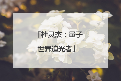 杜灵杰：量子世界追光者