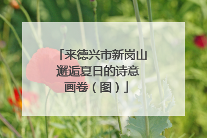 来德兴市新岗山 邂逅夏日的诗意画卷（图）