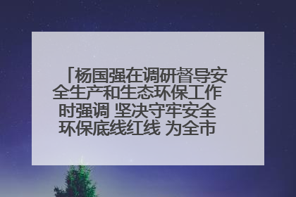 杨国强在调研督导安全生产和生态环保工作时强调 坚决守牢安全环保底线红线 为全市经济社会高质量发展提供坚强保障
