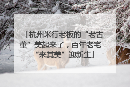 杭州米行老板的“老古董”美起来了，百年老宅“来其美”迎新生