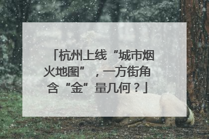 杭州上线“城市烟火地图”，一方街角含“金”量几何？