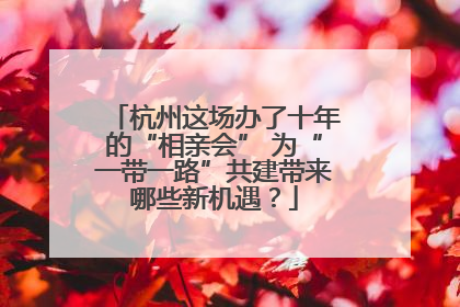 杭州这场办了十年的“相亲会” 为“一带一路”共建带来哪些新机遇？