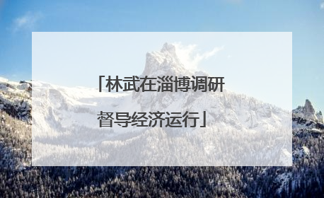 林武在淄博调研督导经济运行