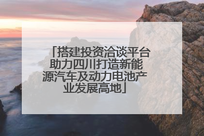 搭建投资洽谈平台 助力四川打造新能源汽车及动力电池产业发展高地