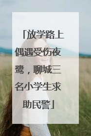 放学路上偶遇受伤夜鹭，聊城三名小学生求助民警