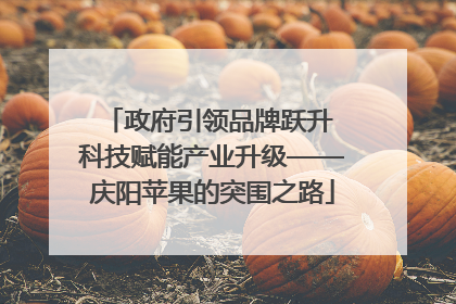 政府引领品牌跃升 科技赋能产业升级——庆阳苹果的突围之路