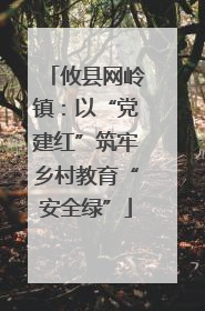 攸县网岭镇：以“党建红”筑牢乡村教育“安全绿”