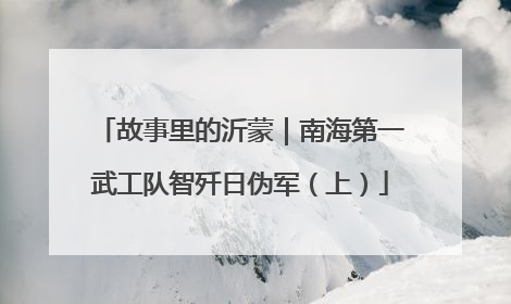 故事里的沂蒙｜南海第一武工队智歼日伪军（上）