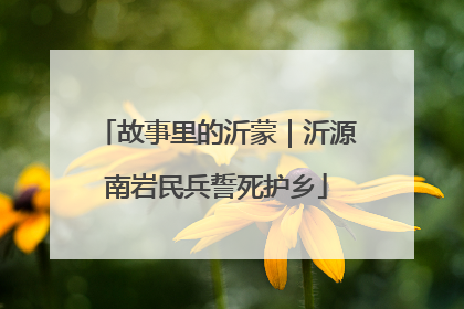 故事里的沂蒙｜沂源南岩民兵誓死护乡