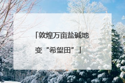 敦煌万亩盐碱地变“希望田”