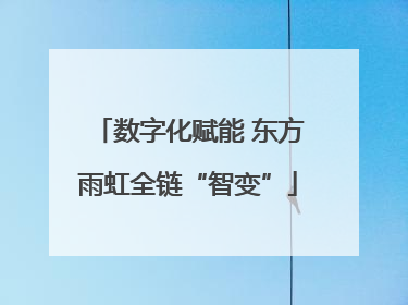 数字化赋能 东方雨虹全链“智变”