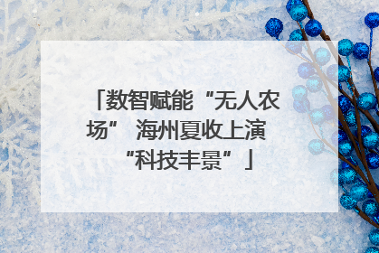 数智赋能“无人农场” 海州夏收上演“科技丰景”