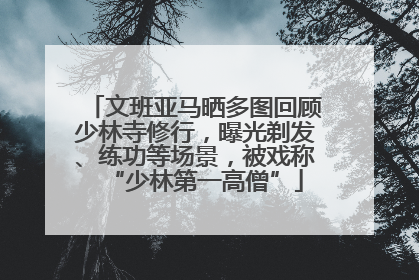 文班亚马晒多图回顾少林寺修行，曝光剃发、练功等场景，被戏称“少林第一高僧”
