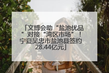 文博会助“盐池优品”对接“湾区市场”！宁夏吴忠市盐池县签约28.44亿元