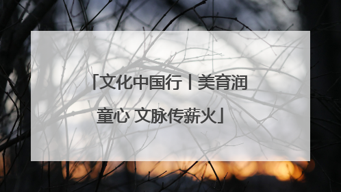 文化中国行丨美育润童心 文脉传薪火