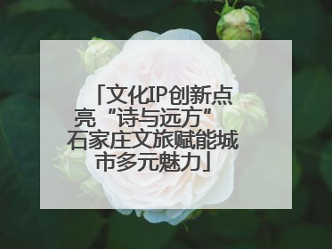 文化IP创新点亮“诗与远方” 石家庄文旅赋能城市多元魅力