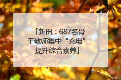 新田：687名骨干教师集中“充电” 提升综合素养