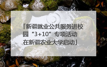 新疆就业公共服务进校园“3+10”专项活动在新疆农业大学启动