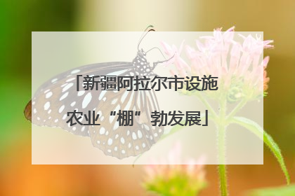 新疆阿拉尔市设施农业“棚”勃发展
