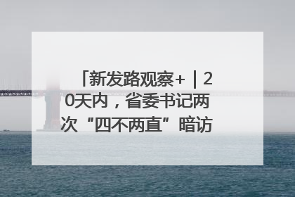 新发路观察+｜20天内，省委书记两次“四不两直”暗访，有何深意？