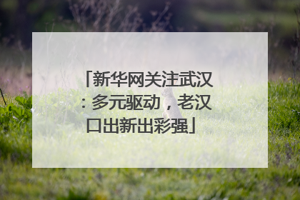 新华网关注武汉：多元驱动，老汉口出新出彩强