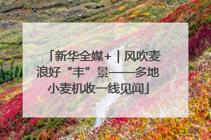 新华全媒+｜风吹麦浪好“丰”景——多地小麦机收一线见闻