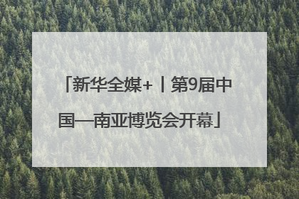 新华全媒+丨第9届中国—南亚博览会开幕
