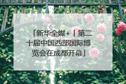 新华全媒+丨第二十届中国西部国际博览会在成都开幕