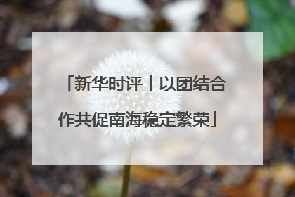 新华时评丨以团结合作共促南海稳定繁荣