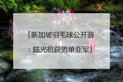 新加坡羽毛球公开赛：陆光祖获男单亚军
