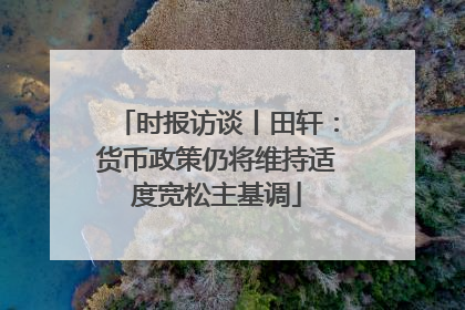 时报访谈丨田轩：货币政策仍将维持适度宽松主基调