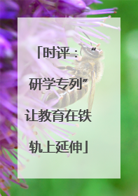 时评：“研学专列”让教育在铁轨上延伸